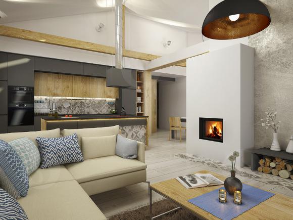 DYNAMIC 2G 66.50.01 - wkład kominkowy prosty, podwójna szyba