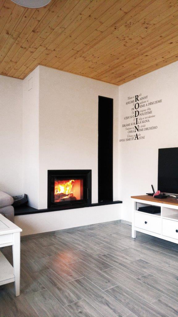 DYNAMIC 2G 66.50.01 - wkład kominkowy prosty, podwójna szyba